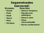 Sega ja lehtmetsad #16
