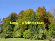 Sega ja lehtmetsad