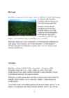 Brasiilia iseloomustus #9