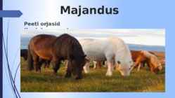 Vikingud-Asutus ja majandus #16