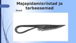 Vikingud-Asutus ja majandus #20