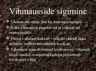 Rõngussid ehk anneliidid #5