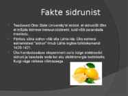 Kiivi ja sidrun #5