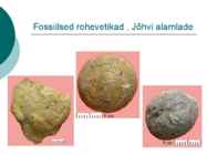 Maa geoloogiline areng ja evolutsioon #18
