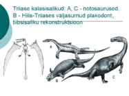 Maa geoloogiline areng ja evolutsioon #34