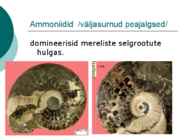 Maa geoloogiline areng ja evolutsioon #37