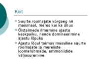 Maa geoloogiline areng ja evolutsioon #39