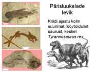 Maa geoloogiline areng ja evolutsioon #41