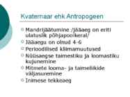 Maa geoloogiline areng ja evolutsioon #48