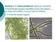 Maa geoloogiline areng ja evolutsioon #6