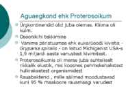 Maa geoloogiline areng ja evolutsioon #7