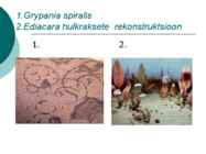 Maa geoloogiline areng ja evolutsioon #9