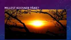 PÄIKE #5