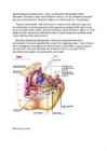 Bioloogia uurib elu #4