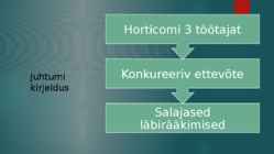 Juhtumi lahendamine #2