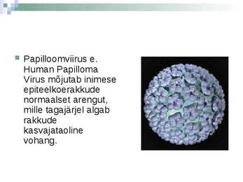 Papilloomviirused #2