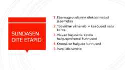 SUNDASENDID JA SUNDLIIGUTUSED #6