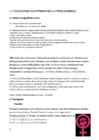 Sooline võrdõiguslikkus #8