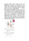 Immunoloogia eksami kordamisküsimused #26