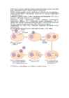 Immunoloogia eksami kordamisküsimused #32