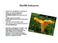 Söödavad kübarseened #2
