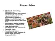 Söödavad kübarseened #8