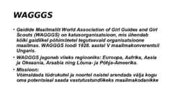 Gaidid - mis on gaidlus #4