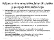 Taimede paljundamine 2016 #102