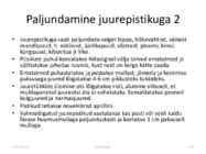 Taimede paljundamine 2016 #106