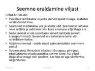Taimede paljundamine 2016 #19