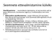 Taimede paljundamine 2016 #23
