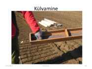 Taimede paljundamine 2016 #28