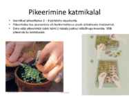 Taimede paljundamine 2016 #31