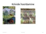 Taimede paljundamine 2016 #39