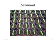 Taimede paljundamine 2016 #40