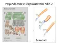 Taimede paljundamine 2016 #5