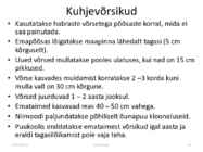 Taimede paljundamine 2016 #46
