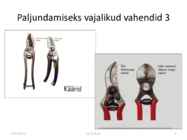 Taimede paljundamine 2016 #6