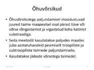 Taimede paljundamine 2016 #54