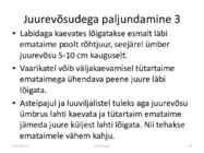 Taimede paljundamine 2016 #62
