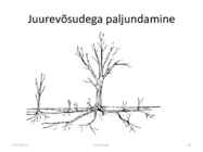 Taimede paljundamine 2016 #65