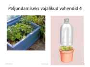 Taimede paljundamine 2016 #8