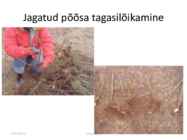 Taimede paljundamine 2016 #72
