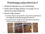 Taimede paljundamine 2016 #77