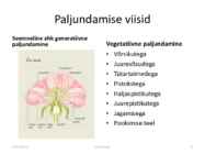 Taimede paljundamine 2016 #9