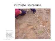 Taimede paljundamine 2016 #81