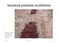 Taimede paljundamine 2016 #83