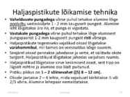 Taimede paljundamine 2016 #97