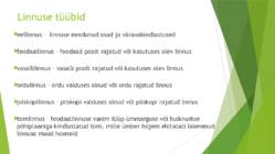 Keskaja linnused #8
