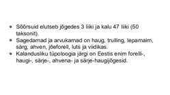 EESTI JÕED #4